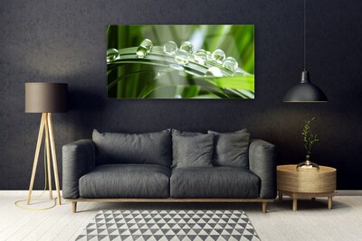 Glass Wall Art Grass dew drops floral green