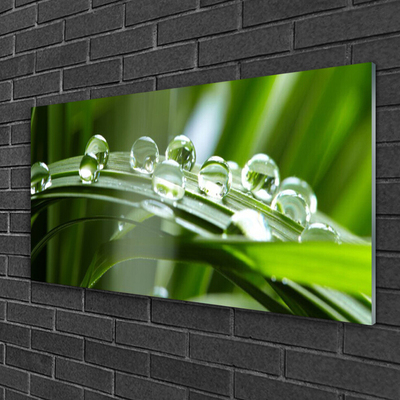 Glass Wall Art Grass dew drops floral green