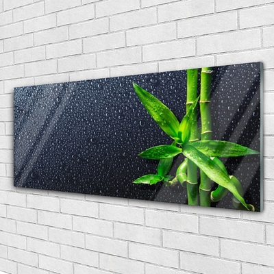 Glass Wall Art Bamboo stalks floral green