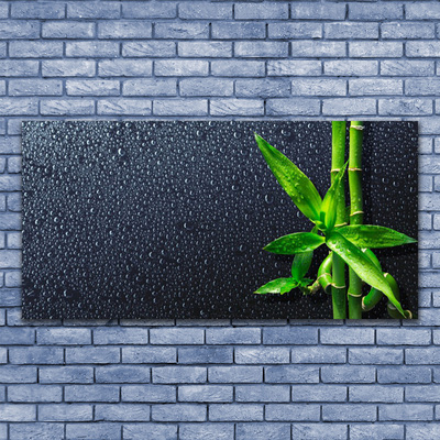 Glass Wall Art Bamboo stalks floral green