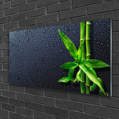 Glass Wall Art Bamboo stalks floral green