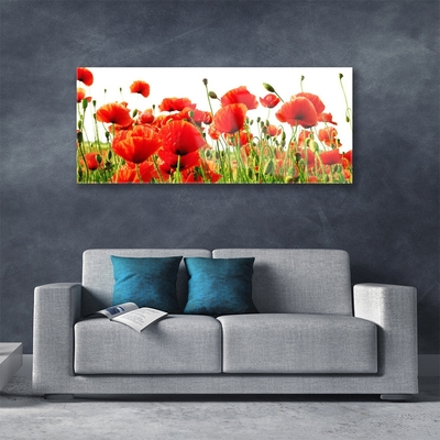 Glass Wall Art Poppies nature red green