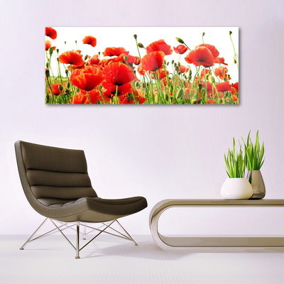 Glass Wall Art Poppies nature red green