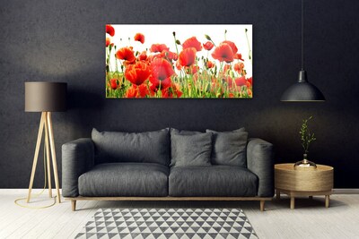 Glass Wall Art Poppies nature red green