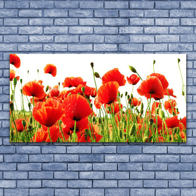 Glass Wall Art Poppies nature red green