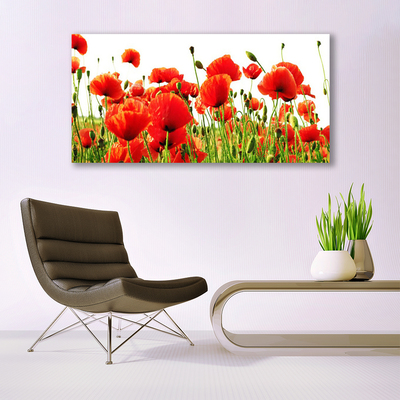 Glass Wall Art Poppies nature red green