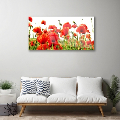 Glass Wall Art Poppies nature red green