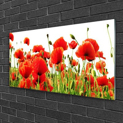 Glass Wall Art Poppies nature red green