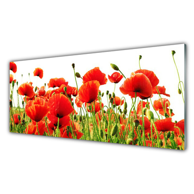 Glass Wall Art Poppies nature red green