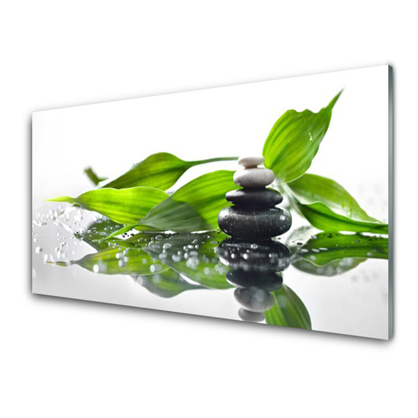 Glass Wall Art Stones leaves art black green