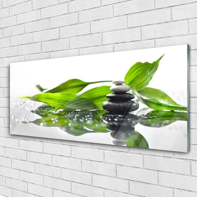 Glass Wall Art Stones leaves art black green