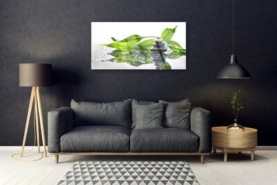 Glass Wall Art Stones leaves art black green