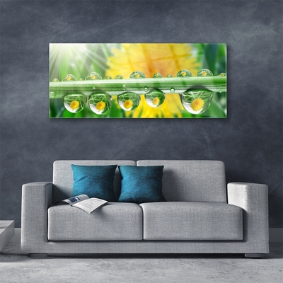 Glass Wall Art Stem dew drops floral green