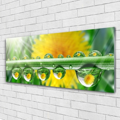 Glass Wall Art Stem dew drops floral green