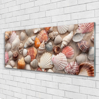 Glass Wall Art Shellfish art white grey brown beige