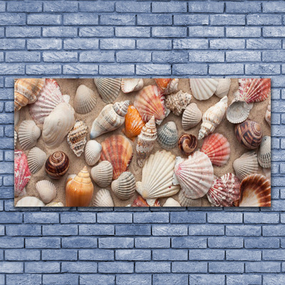 Glass Wall Art Shellfish art white grey brown beige