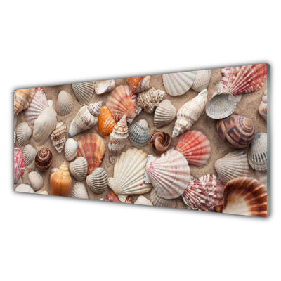 Glass Wall Art Shellfish art white grey brown beige