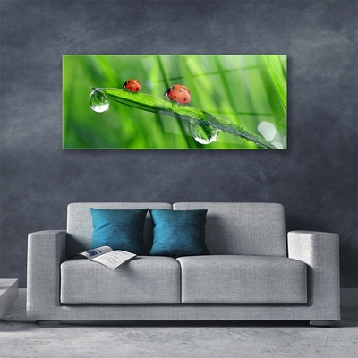 Glass Wall Art Ladybird beetle floral green red black