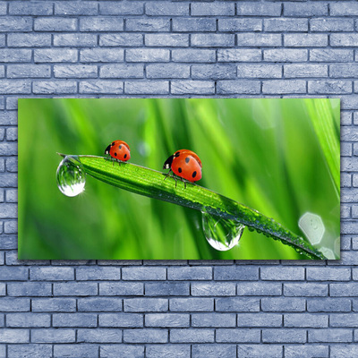 Glass Wall Art Ladybird beetle floral green red black