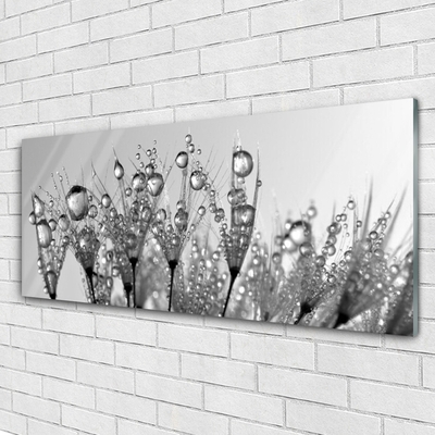 Glass Wall Art Abstract floral grey
