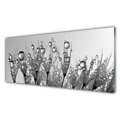 Glass Wall Art Abstract floral grey