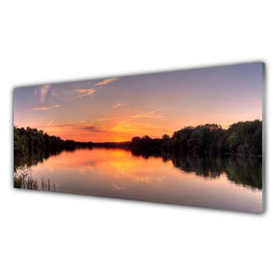 Glass Wall Art Lake forest landscape yellow greengrey