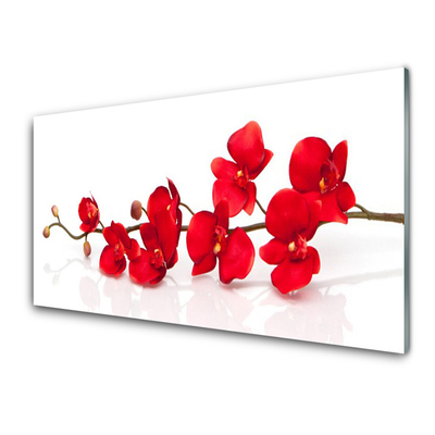 Glass Wall Art Flowers floral red