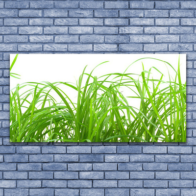 Glass Wall Art Grass nature green