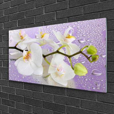 Glass Wall Art Flowers floral white