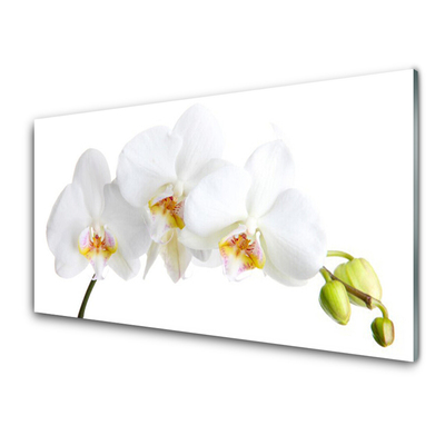 Glass Wall Art Flowers floral white