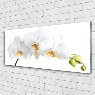 Glass Wall Art Flowers floral white