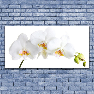 Glass Wall Art Flowers floral white