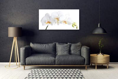 Glass Wall Art Flowers floral white