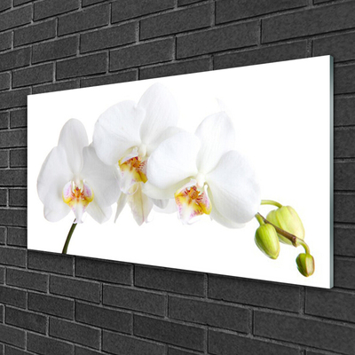 Glass Wall Art Flowers floral white