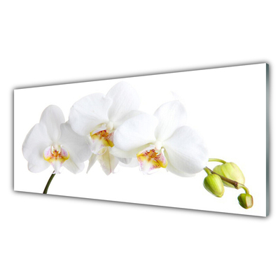 Glass Wall Art Flowers floral white