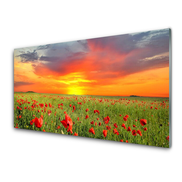 Glass Wall Art Poppies sun nature red green yellow grey