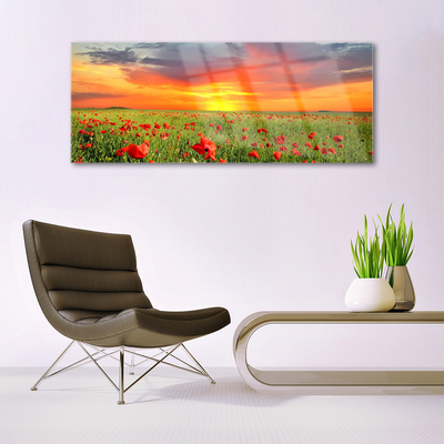 Glass Wall Art Poppies sun nature red green yellow grey