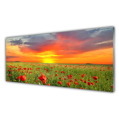 Glass Wall Art Poppies sun nature red green yellow grey