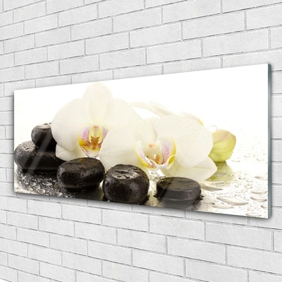 Glass Wall Art Flower stones art white black