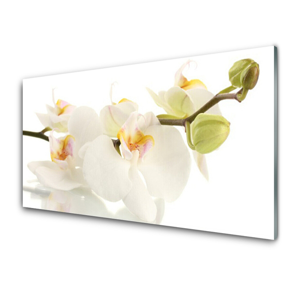 Glass Wall Art Flowers floral white