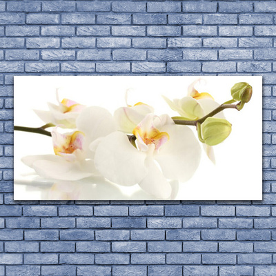 Glass Wall Art Flowers floral white