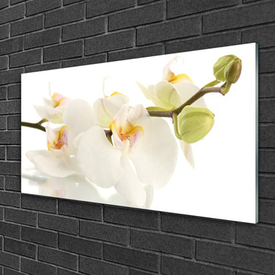 Glass Wall Art Flowers floral white