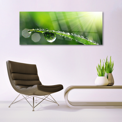 Glass Wall Art Grass dew drops floral green