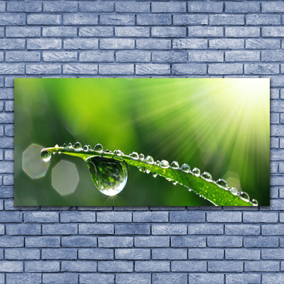 Glass Wall Art Grass dew drops floral green