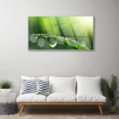 Glass Wall Art Grass dew drops floral green