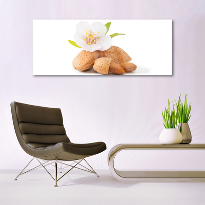 Glass Wall Art Flower pistachios floral white brown