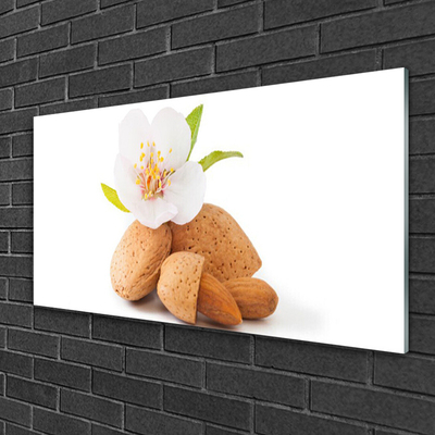 Glass Wall Art Flower pistachios floral white brown