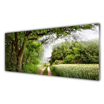 Glass Wall Art Trees footpath nature brown green