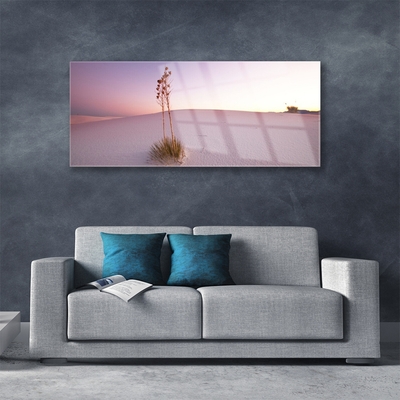 Glass Wall Art Desert landscape brown