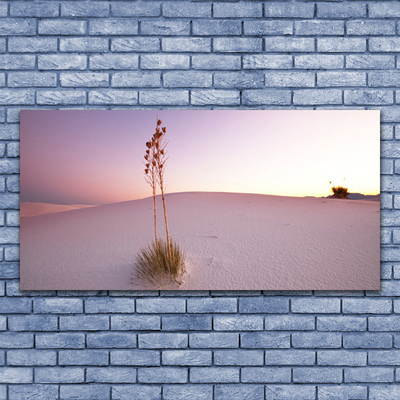 Glass Wall Art Desert landscape brown